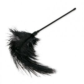 Easytoys Black Feather Tickler