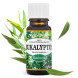 Saloos 100% Natural Essential Oil Eucalyptus 10ml