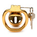 Master Series Midas Locking Chastity Cage 18K Gold-Plated