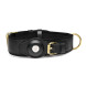 Master Series Tracer Tracking Collar Black
