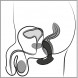 Anos Prostate Butt Plug with Vibration Black