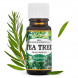 Saloos 100% přírodní esenciální olej Tea tree 10ml