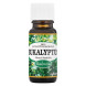 Saloos 100% přírodní esenciální olej Eukalyptus 10ml